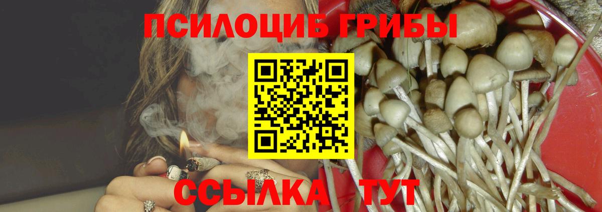 Псилоцибиновые грибы мицелий Киров